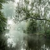 Ночь осенняя