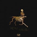 Ночи алкоты