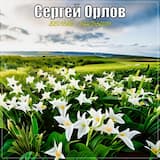 Белые ландыши