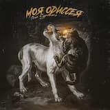 Моя одиссея