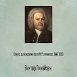 Соната для скрипки соло №2 ля минор, BWV 1003, Отрывок 2