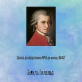 Соната для фортепиано №14 до минор, KV457, Отрывок 1