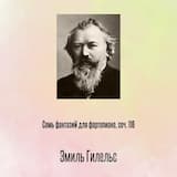 Семь фантазий для фортепиано, соч. 116 I. Каприччио ре минор