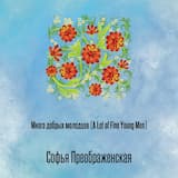 Много добрых молодцев (A Lot of Fine Young Men)