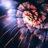 Don't Cut the Bamboo, & Don't Listen to a Word I say, Baby