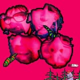 Where The Satellites Shine [G]