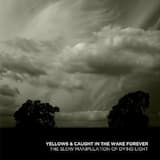 The Slow Manipulation of Dying Light, Part One