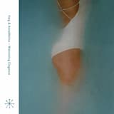 Ice Bricks (I’m Not Buying Her a Fucking Pair of Shoes, I Bought Her a Fucking Career)