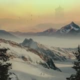 When Birds Fly South