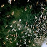 The Accomplished Sinners' Divine Deep State Is Jeffrey Epstein's Newest Art Enterprise in the Next World