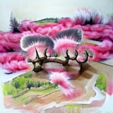 There are meadows and hills for all of our special friends so they can run and play together. There is plenty of food, water and sunshine, and our friends are warm and comfortable.