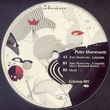 Labyrinth (Steve Rachmad remix)