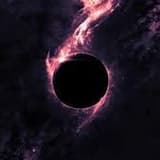 Got_No_Places_for_Meat