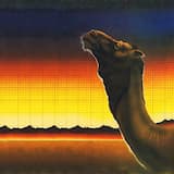 I'm Just Playing Games ❤