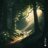 7th Winter in Cheonan