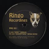 Assumptions (Benga remix)