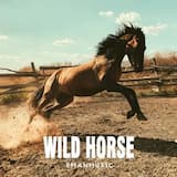 Wild Horse