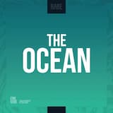 The Ocean