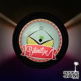 Another Stuntman's Life