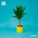 Lit (AC Slater remix)