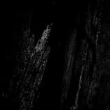 Dismantle Systems of Oppression