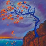 Shaking The Dust (Airfields)