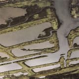 Like Watching Shit on a Shelf