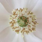 Romantic Piano Story (Main)