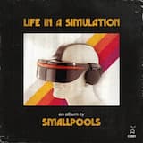 Simulation