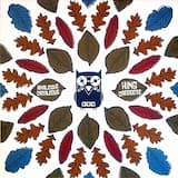 Impossible to Resist