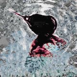 Warped fieldrec/Vinny