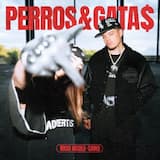 PERROS&GATA$