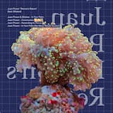 In Your Palm (No More Words Version)