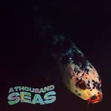 A Thousand Seas