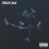 Fallen Soul