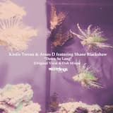 Down So Long (Original Vocal Mix)