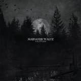 Ночная песня