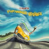 Psychedelic Experience