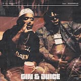 Gin & Juice
