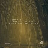 Vamos al bosque a caminar (Y ver)