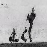 Walking With Shadows