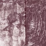 You Live in My Mouth