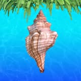 ＤｒｅａｍＯｎＷａｖｅ