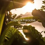 Tropical Paradise