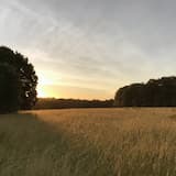 Even the Walls Shall Hear Her