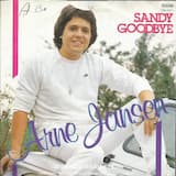Sandy Goodbye