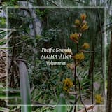 ʻAlewa Trail Spring, Oʻahu