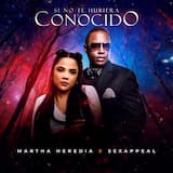 Si no te hubiera conocido