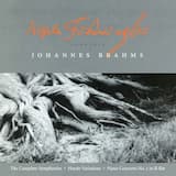 Symphony No.1 in c, Op. 68 - I. Un poco sostenuto; Allegro