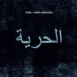 Smek (Ricardo Villalobos remix)